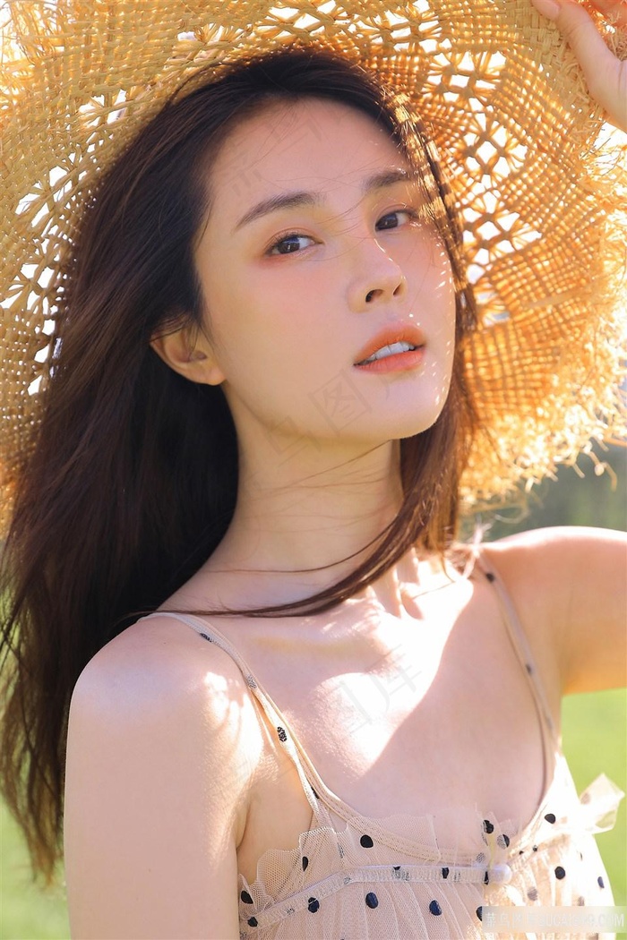 求一路向西在线观看