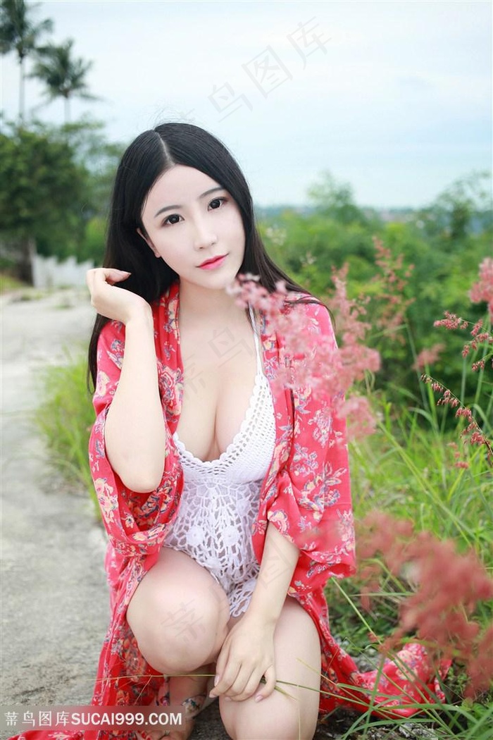 soopat专利搜索