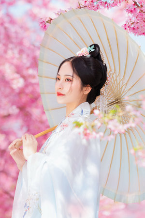 噼里啪啦免费观看视频高清