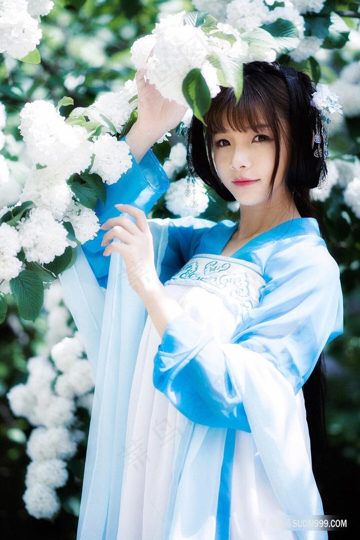 丁香花免费在线观看